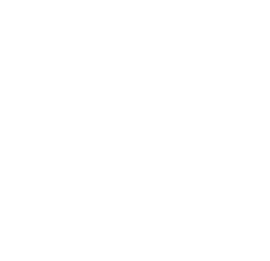 ASP Transportes e Locações